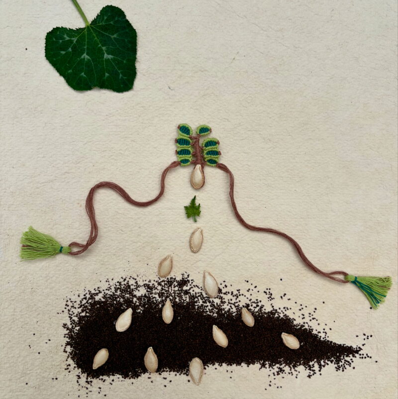 Leaf Organic Rakhi