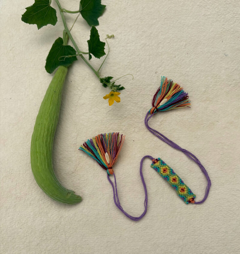 Rivers Organic Rakhi