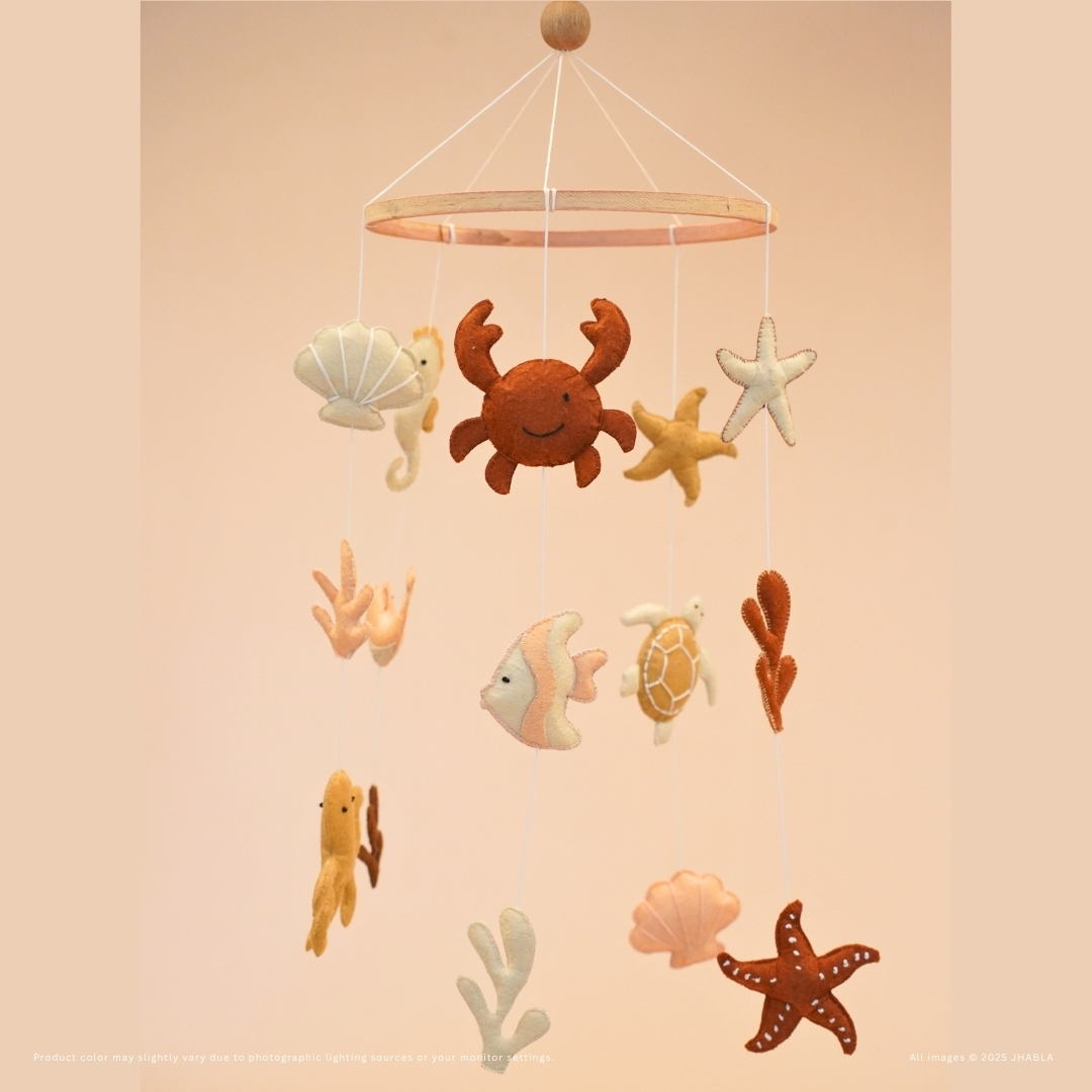 Turtle & Friends Set